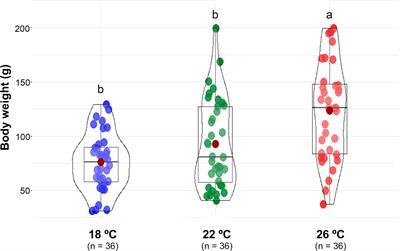 Feeding and water temperature modulate the potential activity of gut microbiota in greater amberjack juveniles (Seriola dumerili)